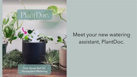 PlantDoc, your houseplant watering assistant